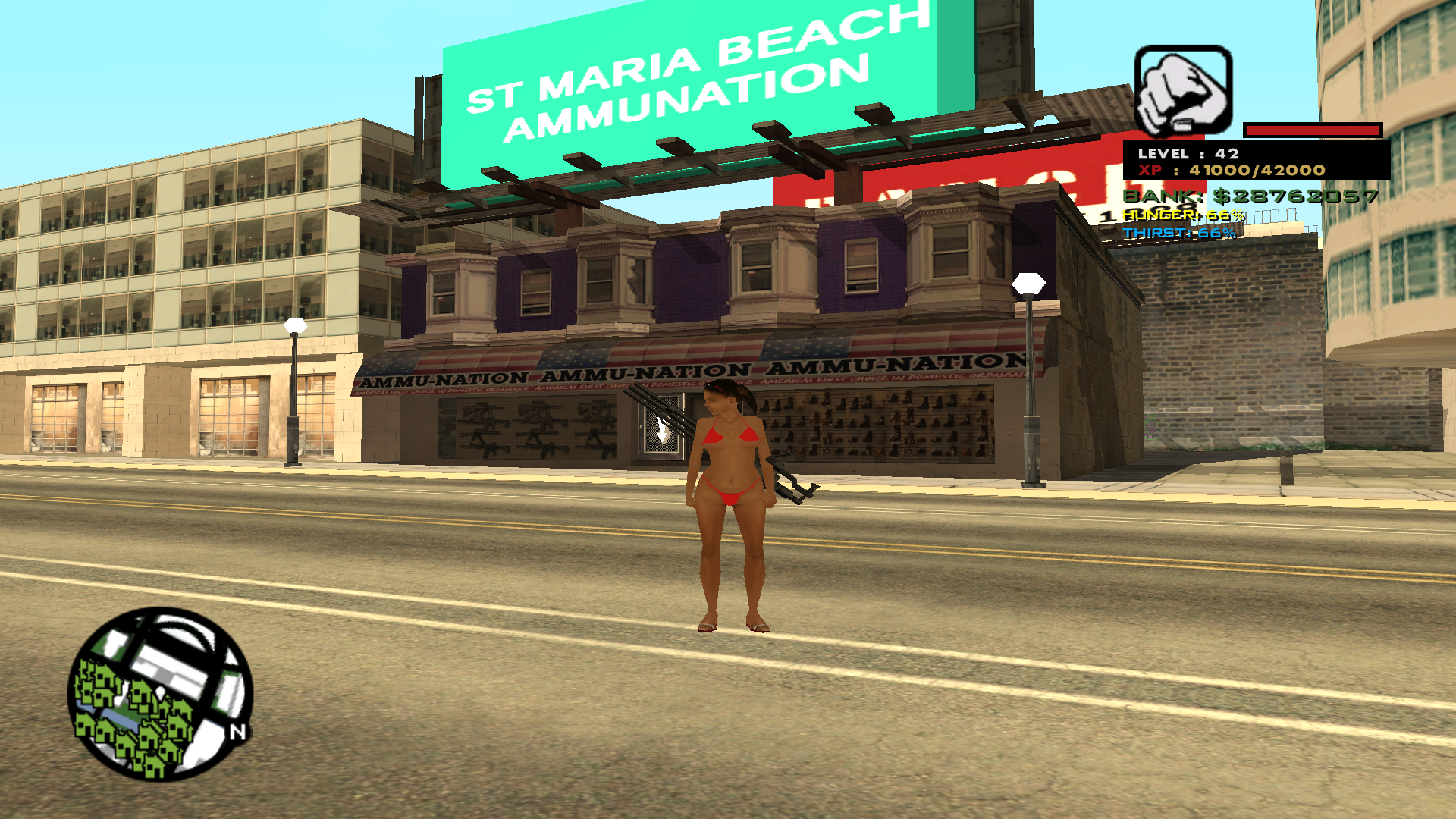 New Ammu-Nation Interior 1