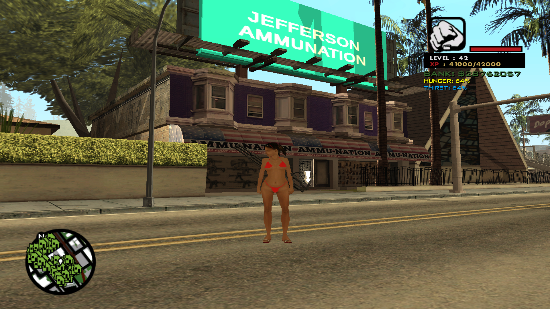 New Ammu-Nation Interior 2