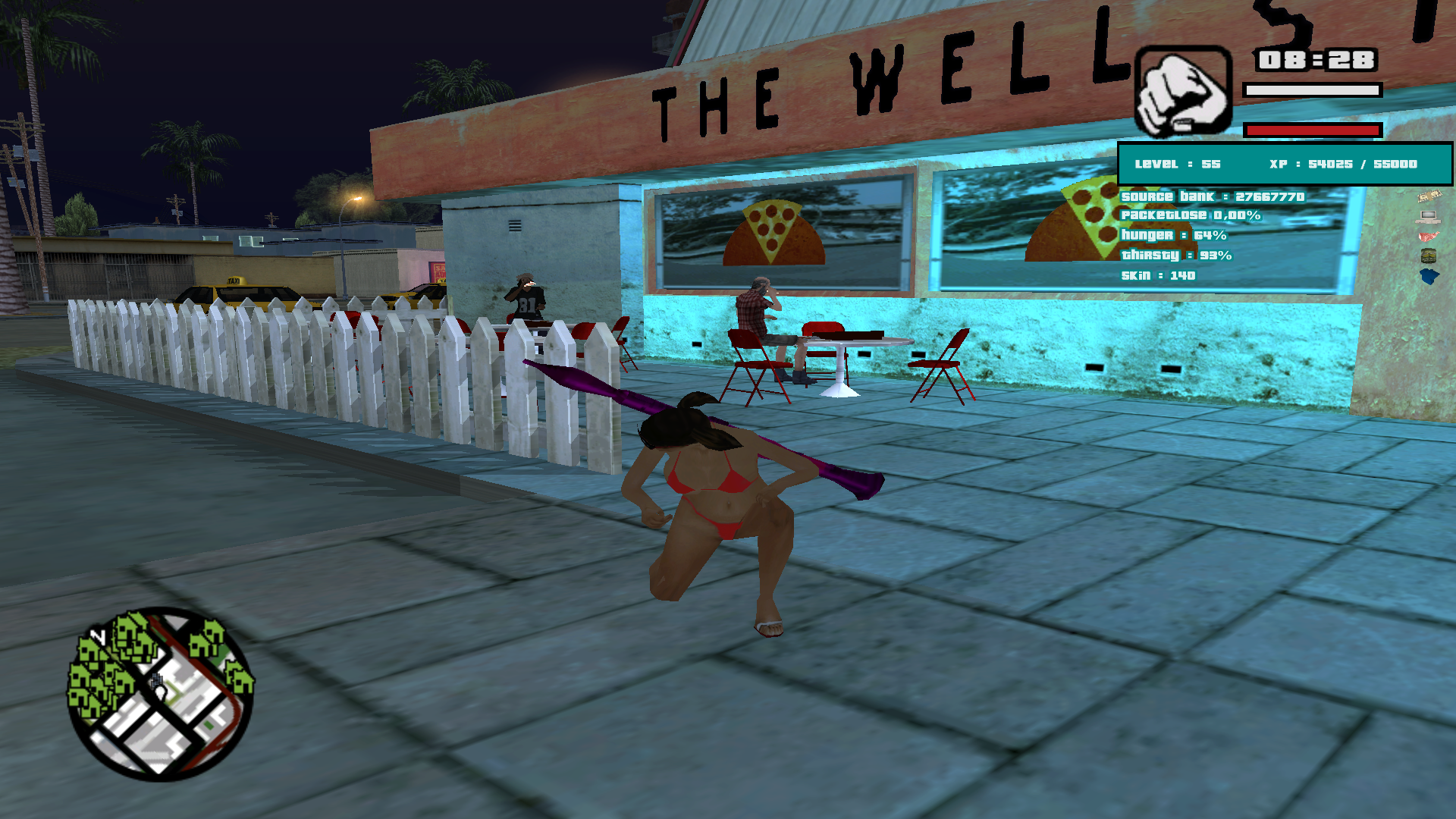 NPC Walkers